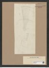 Craspedodiscus elegans Ehr. (de-Toni-Nr.: Genus 201, Species 4833) Zeichnungen Sammlung Grunow Nr. 8497 (NHMW-BOT-W0377970)